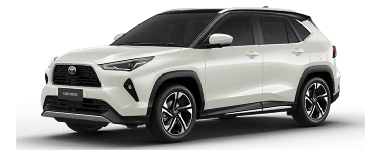 Trắng Ngọc Trai nóc Đen